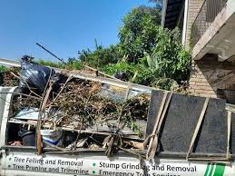 Best Office Cleanout  in Wiggins, MS