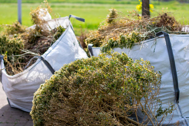 Best Shed Removal  in Wiggins, MS